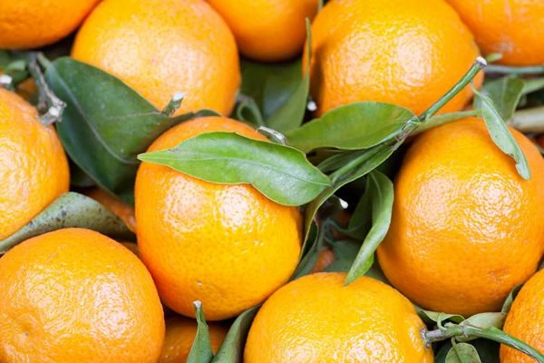 Spain’s Orange Exports down by 14% in 2014