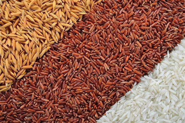 Which Country Eats the Most Rice in the World?