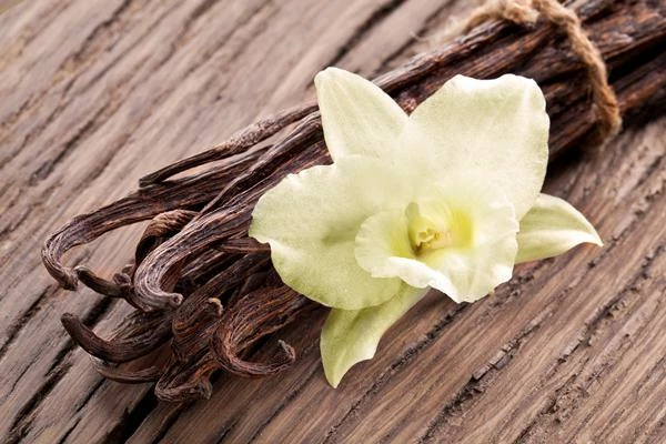 Which Countries Export the Most Vanilla?