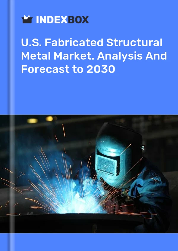 Report U.S. Fabricated Structural Metal Market. Analysis and Forecast to 2030 for 499$