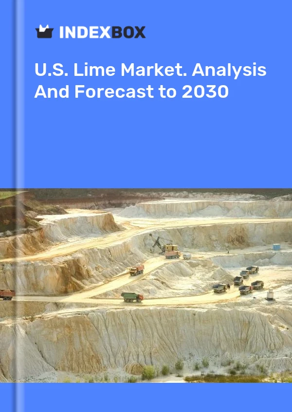 Report U.S. Lime Market. Analysis and Forecast to 2030 for 499$