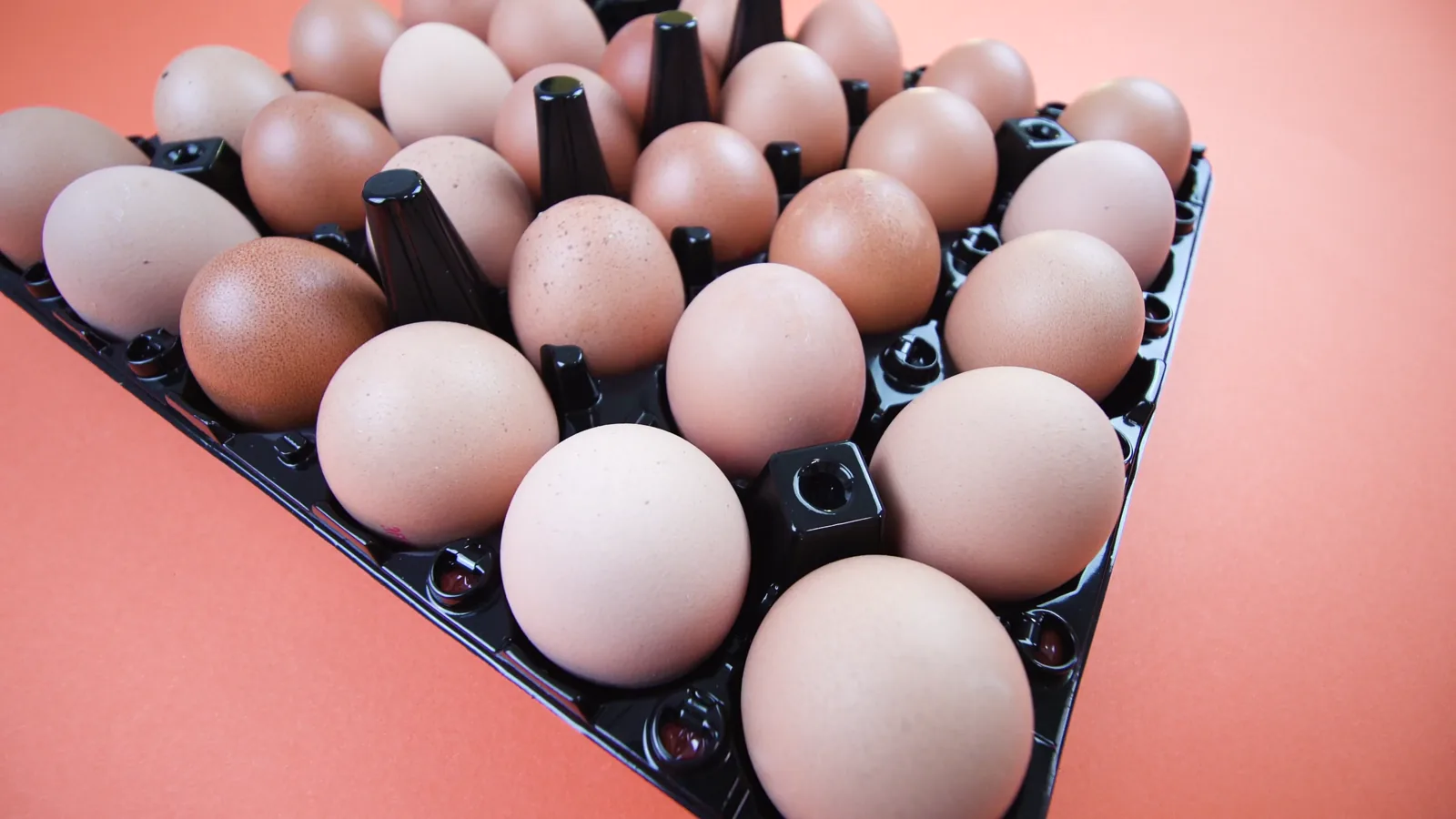 National Shell Egg Market Report: Prices Steady to Lower on March 20, 2026