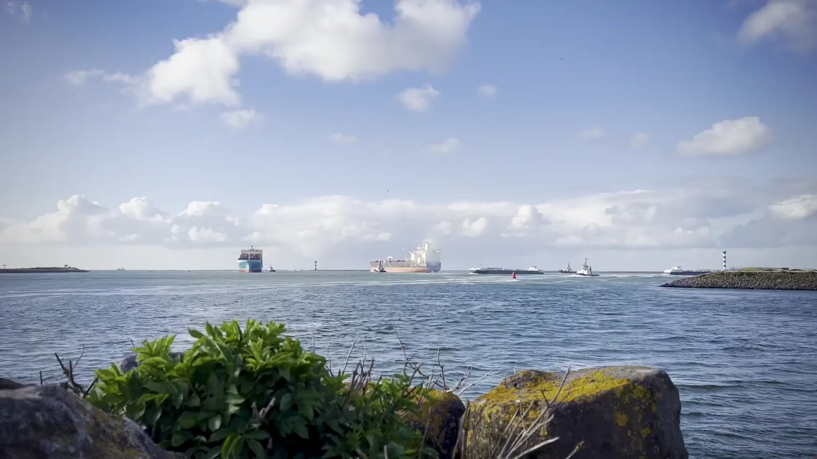 Venergy Maritime Enters Crude Tanker Sector with Suezmax Newbuild Order