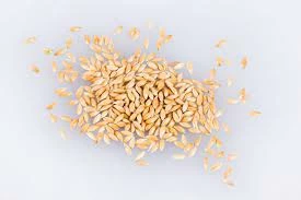 Canada's Canary Seed Price Rises 8% to $689 per Ton