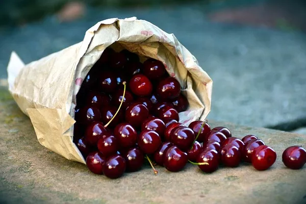 Guide to Starting a Business in the Cherry Market in the United States