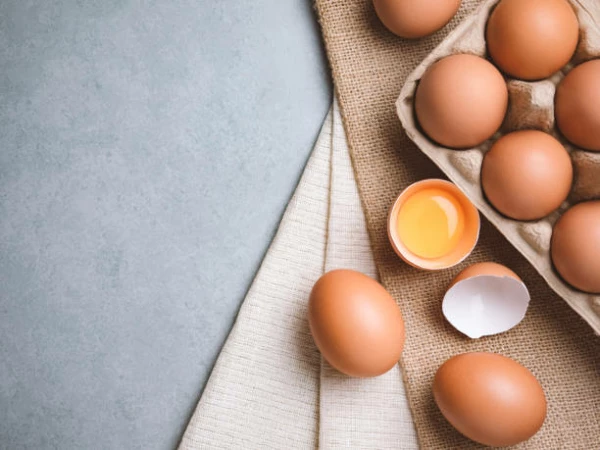 Germany's Chicken Egg Price Soars 10%, Averaging $2,769 per Ton
