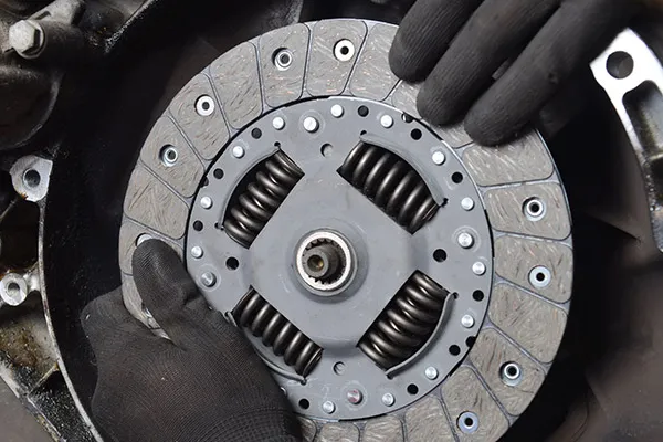 South Africa's Clutch Price Plummets to $7,346 per Ton