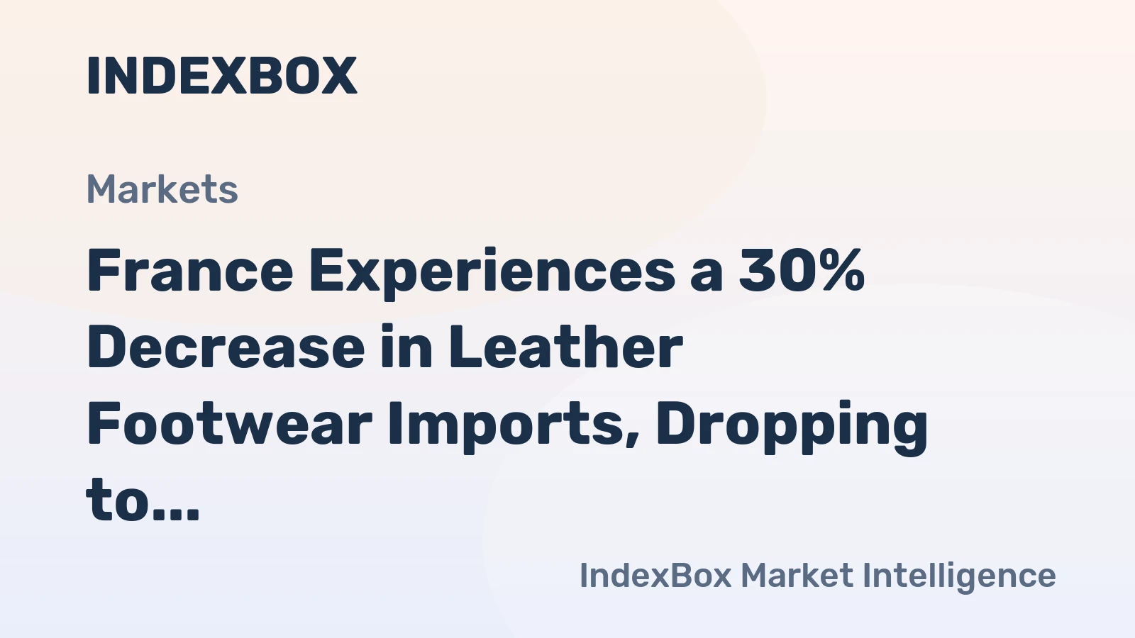 France Experiences a 30% Decrease in Leather Footwear Imports, Dropping to $2.8 Billion in 2024