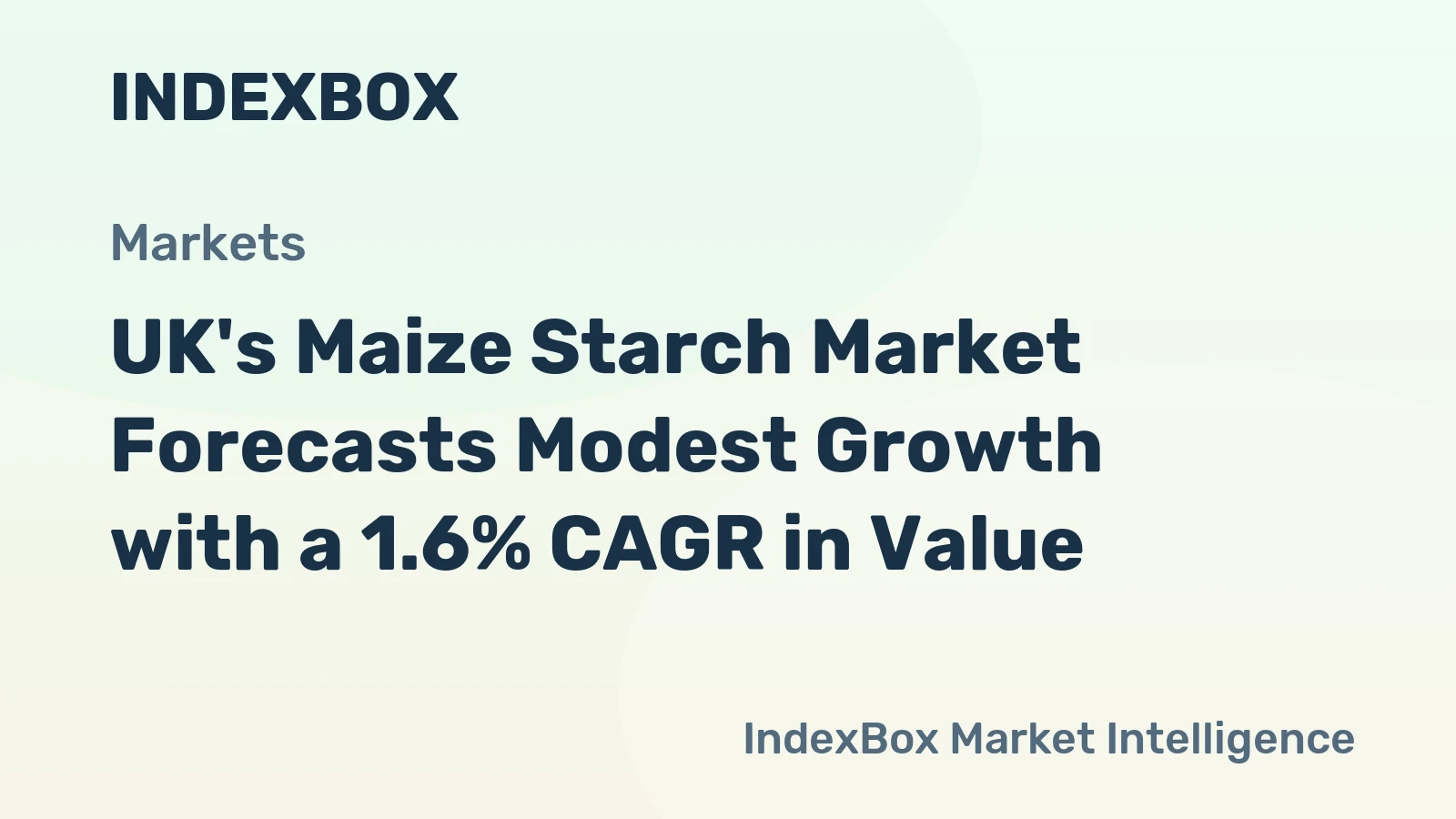 UK's Maize Starch Market Forecasts Modest Growth with a 1.6% CAGR in Value