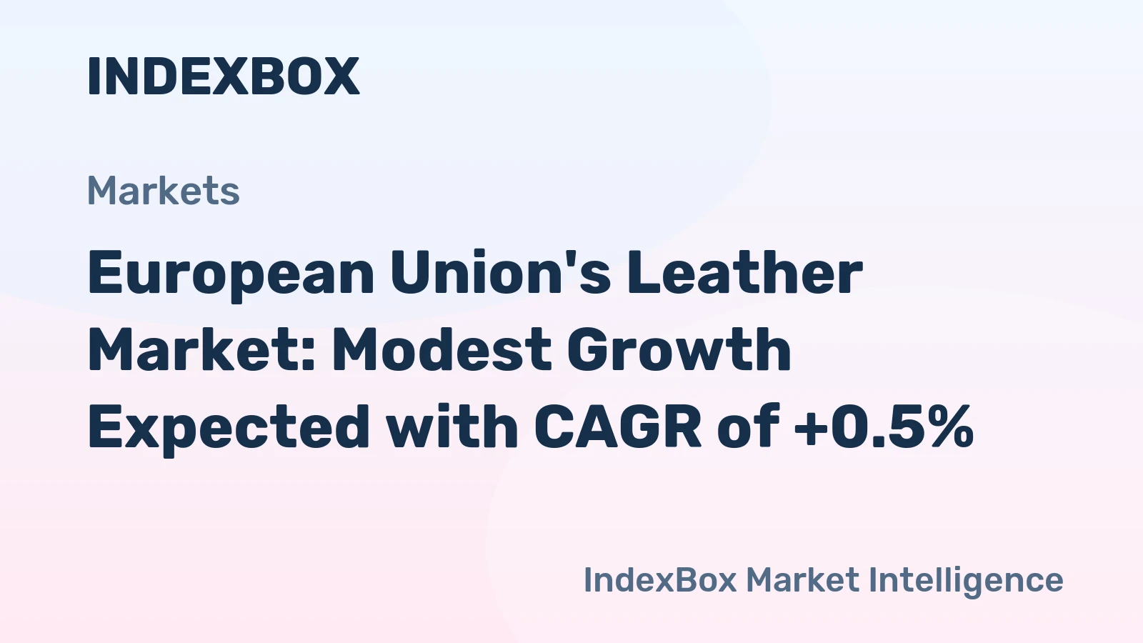 European Union's Leather Market: Modest Growth Expected with CAGR of +0.5%
