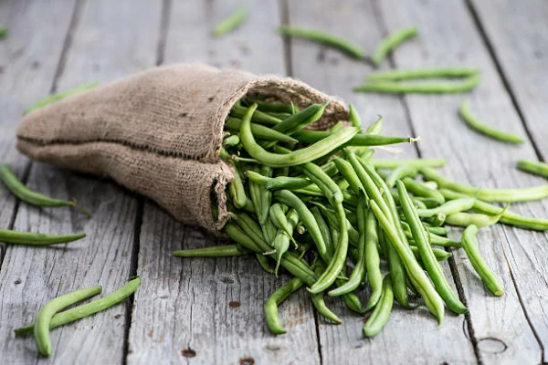 Green Bean Price in Spain Reaches High of $2,441 per Ton