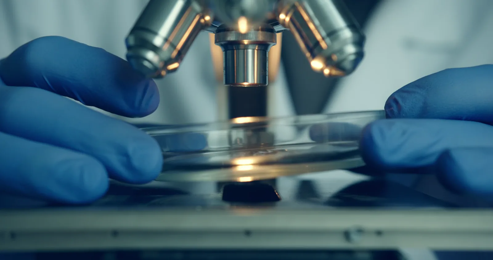 Vertex Pharmaceuticals Stock Surges on Positive Povetacicept Trial Results