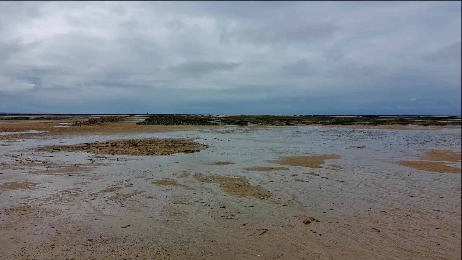 Mowi Acquires Torghatten Aqua's Seawater Salmon Farming Licenses