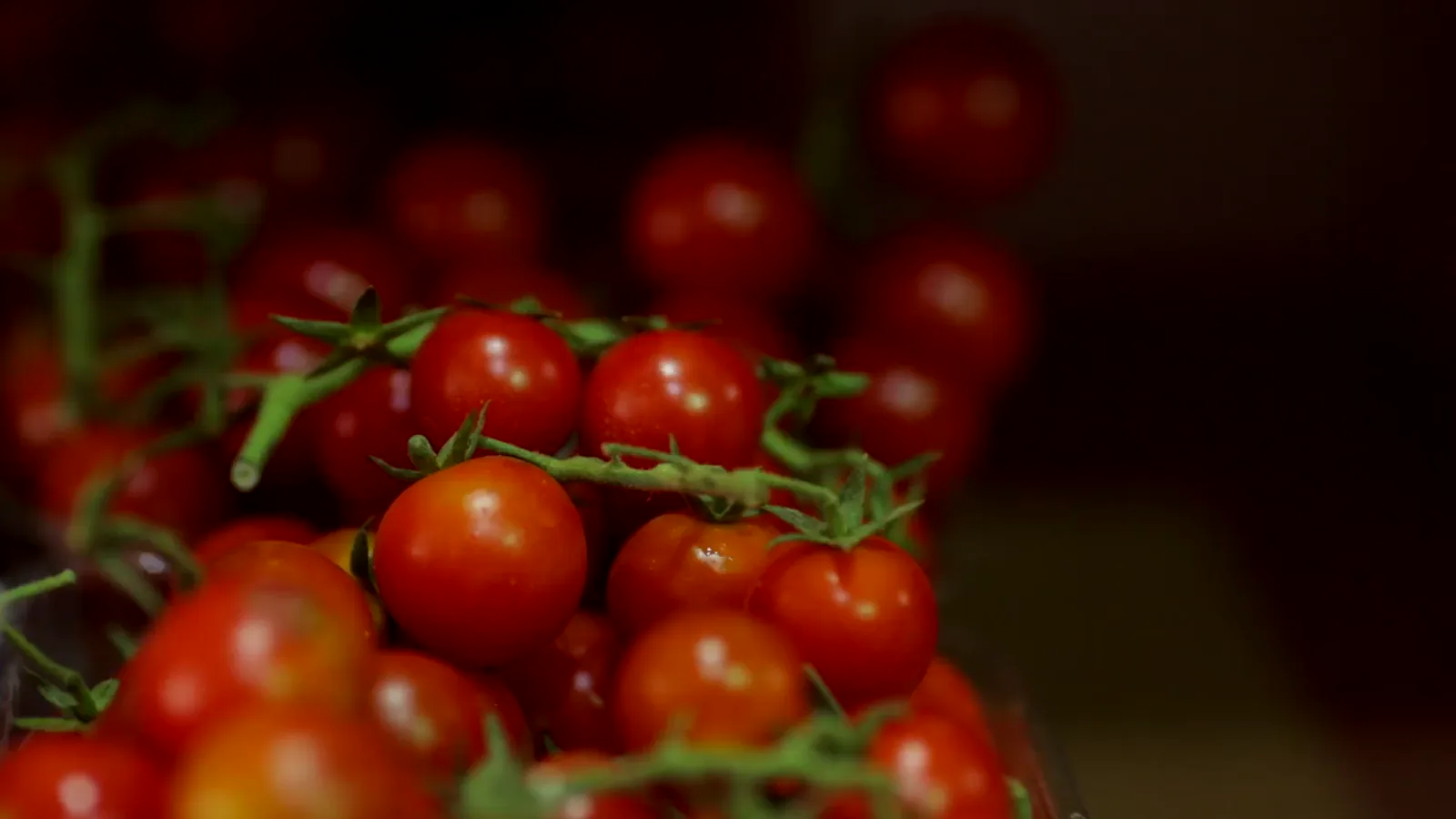 Dubai Chamber Meets Fruit & Vegetable Traders to Strengthen Supply Chains