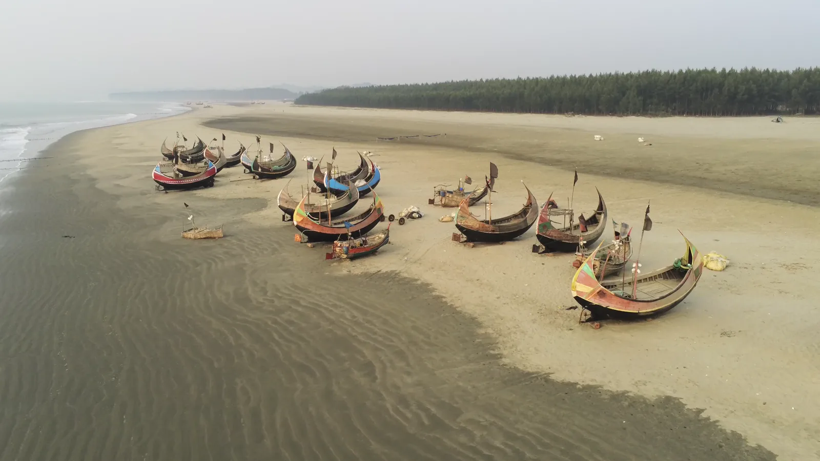 Seafood Industry Launches New Campaigns and Products to Boost Youth Consumption