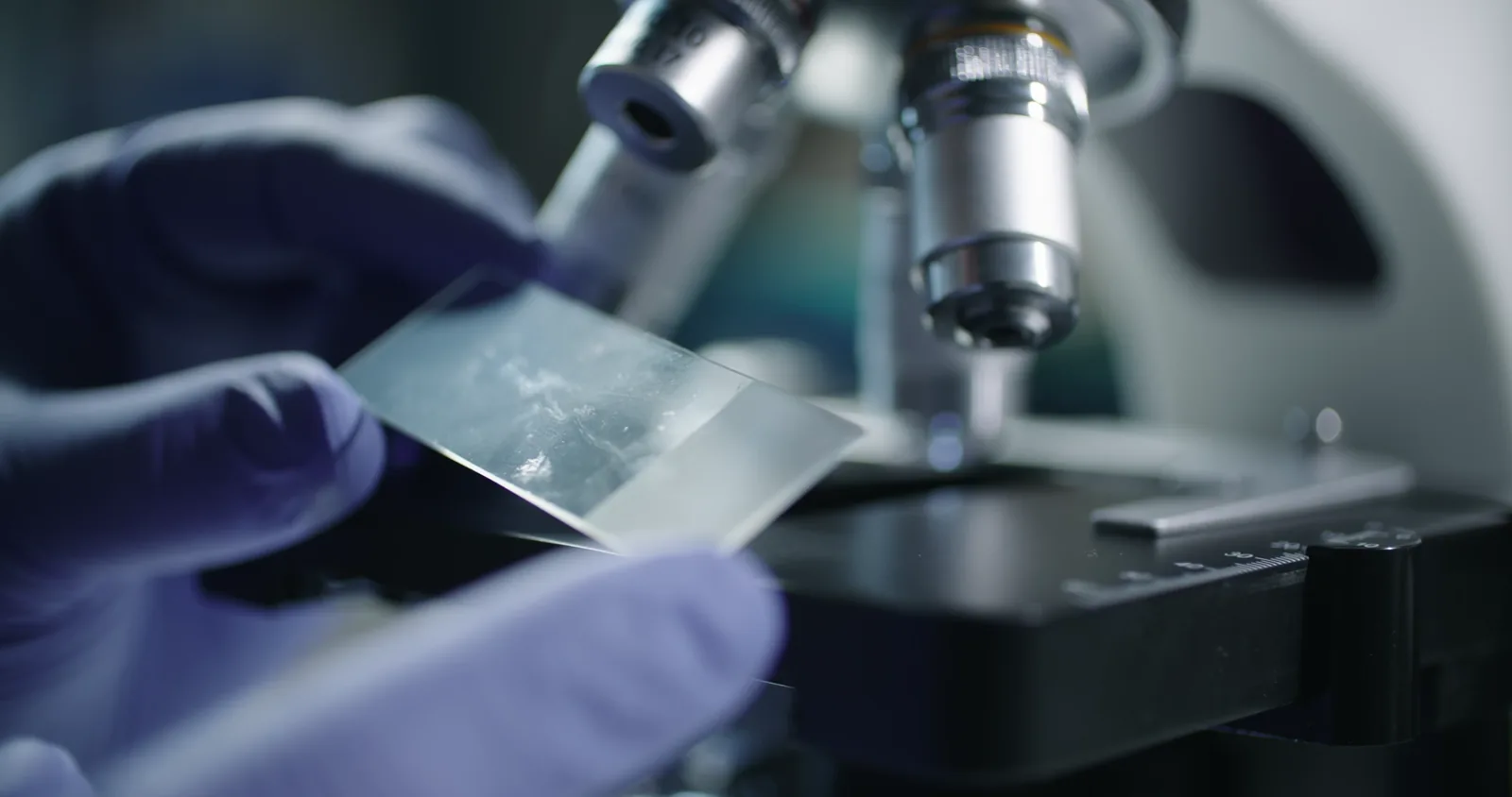 Vestal Point Capital Reduces Stake in Nuvalent in Major Share Sale