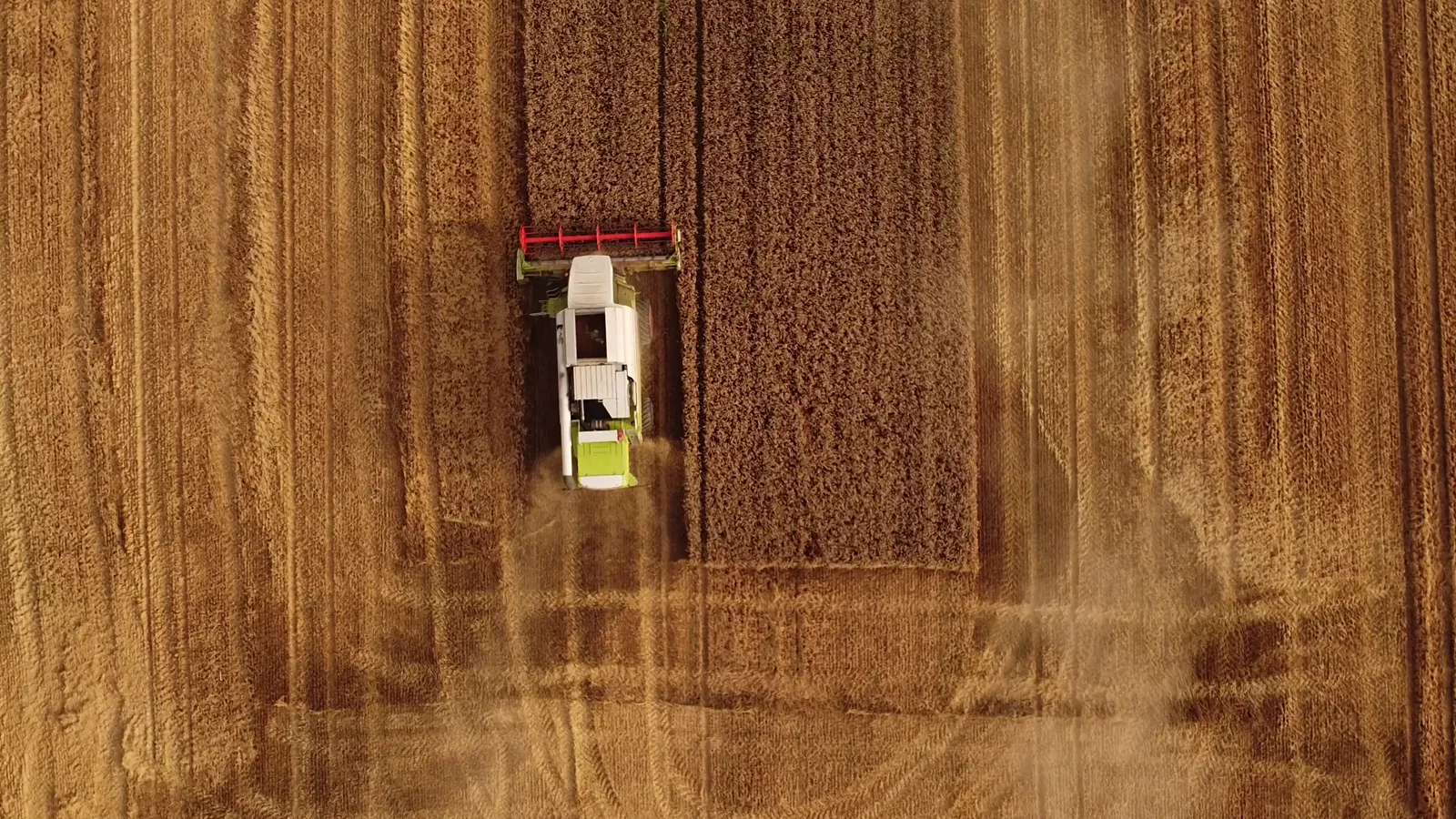 Portland Grain Market Shows Mixed Price Movements for Wheat & Oats