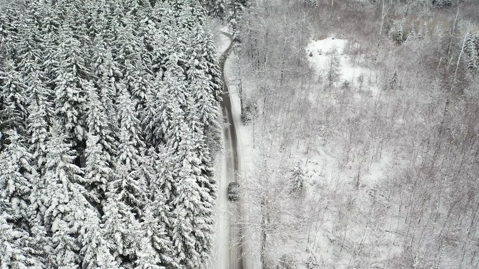 Rivian Stock Volatility Ahead of Critical R2 SUV Launch in April 2026