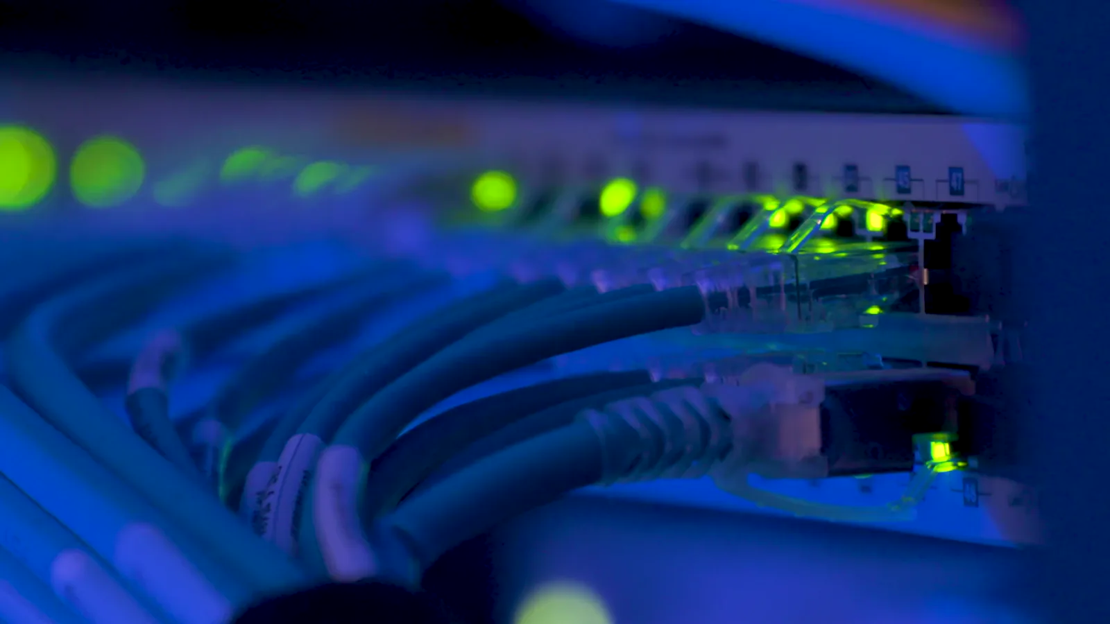 Hardware & Infrastructure Sector: Strong Q4 Results Amid AI Demand