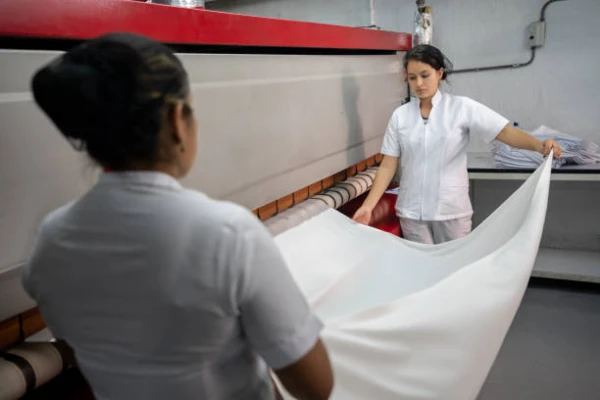 Frances Import of Ironing Machines Drops to $123K in October 2023