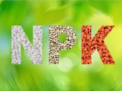 Top Import Markets for NPK Fertilizer | Key Statistics and Numbers