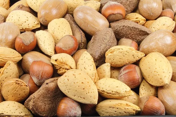 Top Nut Import Markets Worldwide