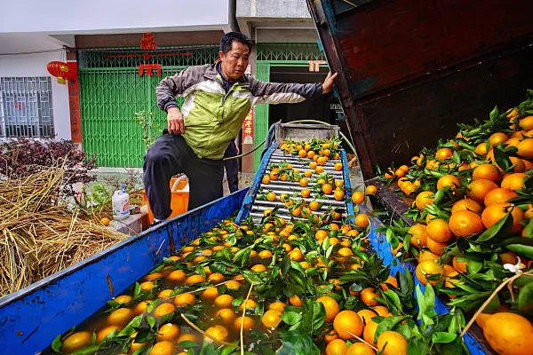 Guide to Successful Market Entry Strategy for Orange in China