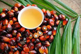 India's Refined Palm Oil Price Sees Slight Increase, Reaches $997 per Ton