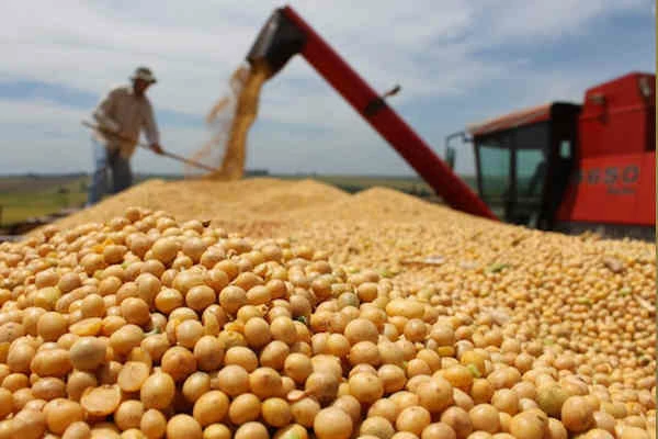 A 10-Step Guide to Export Soybeans to China: Tips, Authorities, and Market Insights