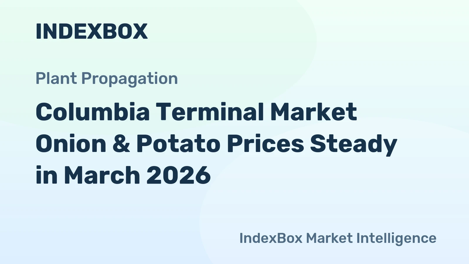 Columbia Terminal Market Onion & Potato Prices Steady in March 2026