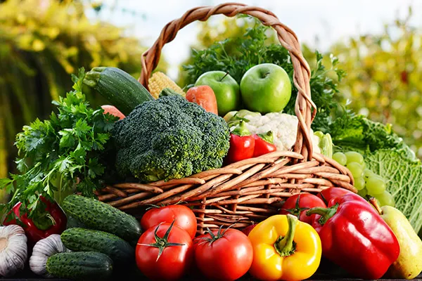 Best Import Markets for Vegetables