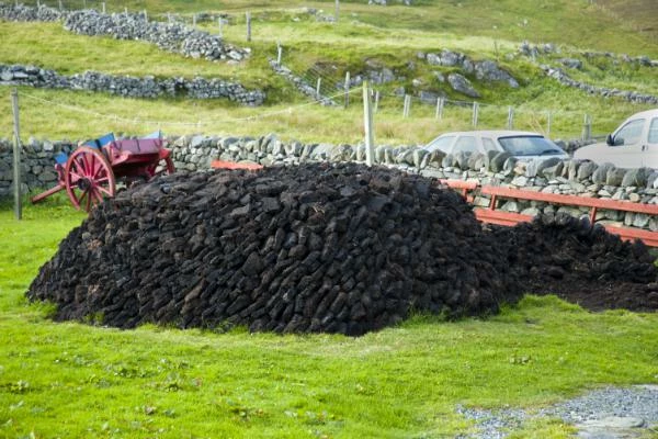 Germany Is the Largest Peat Exporter, Sending Abroad over 60% of Its Production