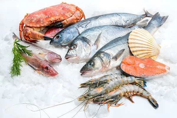 Spain, the UK and Ireland Remain the Largest EU Producers of Frozen Fish and Seafood