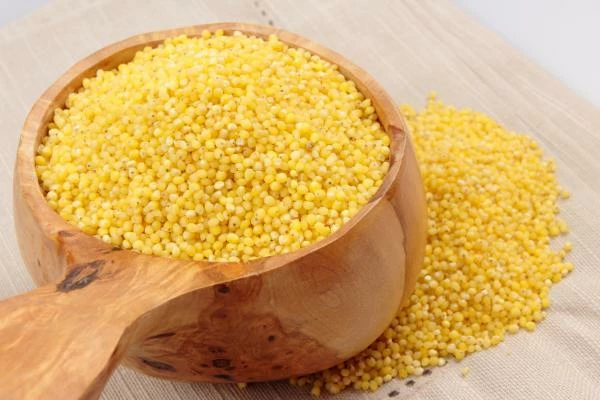 Turkey's Pasta and Couscous Price Declines Slightly to $1,116 per Ton
