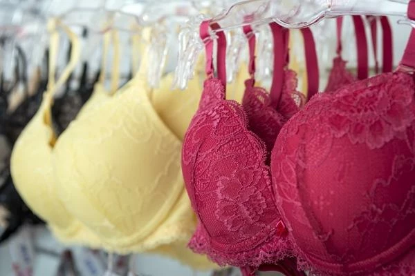 The European Brassiere, Girdle and Corset Market Peaked at $3.2B