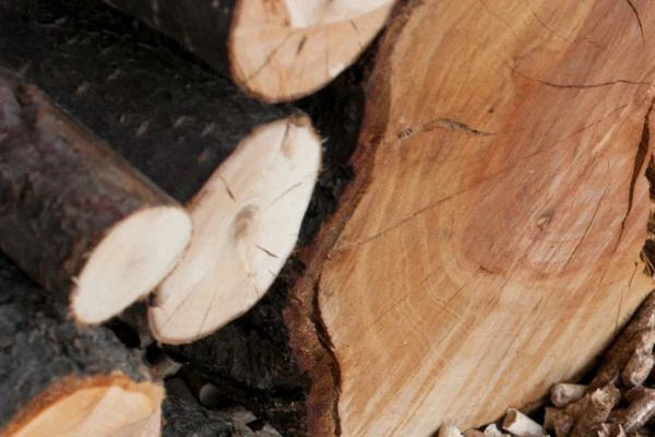 Which Country Exports the Most Wood in the Rough in the World?