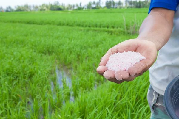 Nitrogenous Fertilizer Price in Canada Drops 5% to $594 per Ton