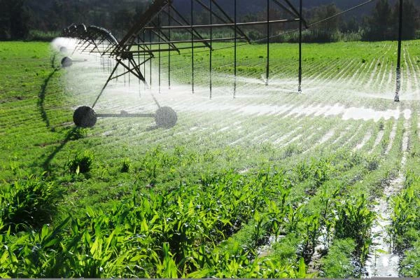 Pesticide Price in Turkey Slumps to $7,534 per Ton, Fluctuating Wildly over 2022