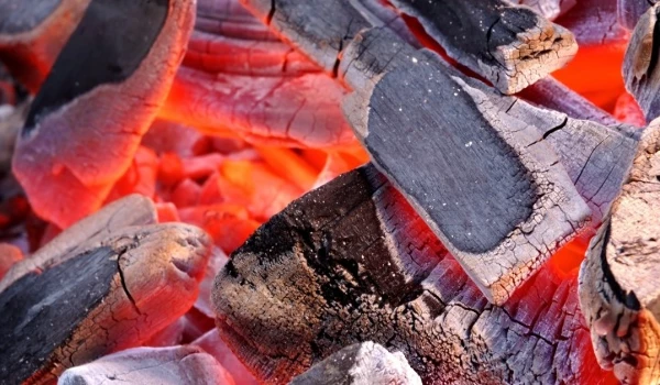 Wood Charcoal Price in China Drops 17% to $2,526 per Ton After Peaking in August