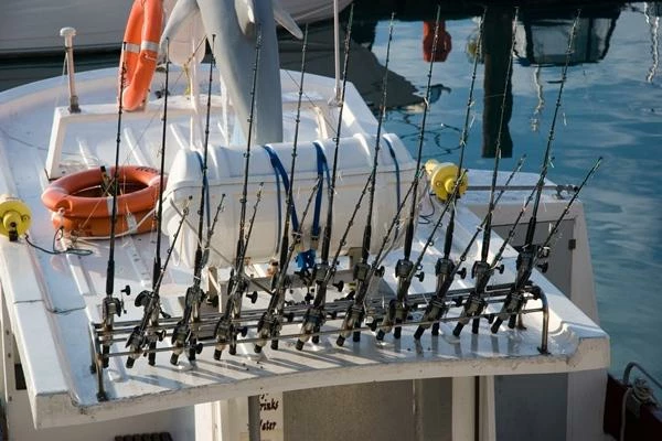 Which Country Imports the Most Fishing Rods in the World?