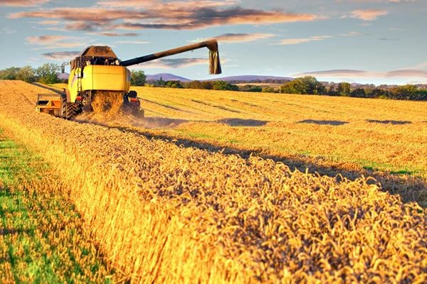 Significant Increase in Price of Threshing Machinery in Brazil to $5,277 per Unit