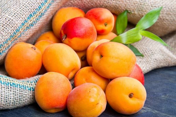 Spain and Italy Firmly Expand Apricot Exports 
