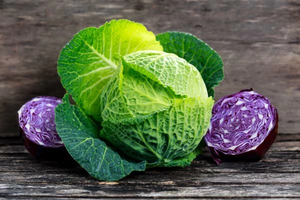 Cabbage Price per Ton June 2022