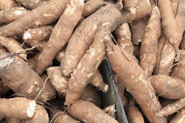 Cassava Price per Ton April 2022
