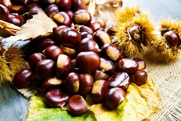 Japanese Chestnut Price Rises by 2% to $3,722 per Ton