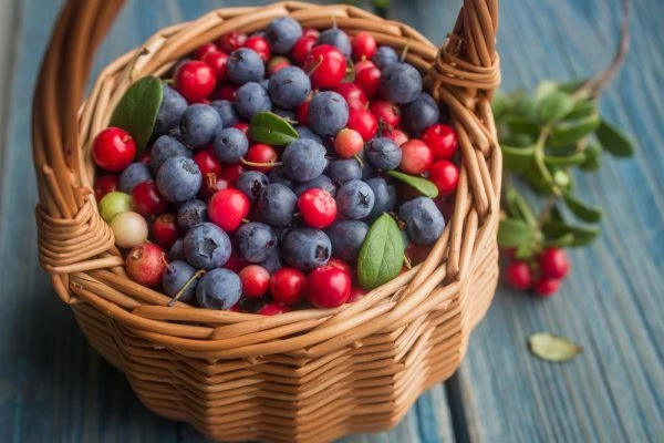 Blueberry and Cranberry Price per Ton June 2022