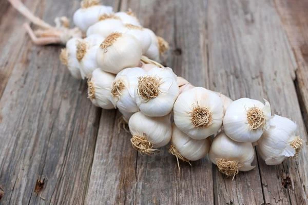 Price of Garlic in Australia Decreases to $1,581 per Ton