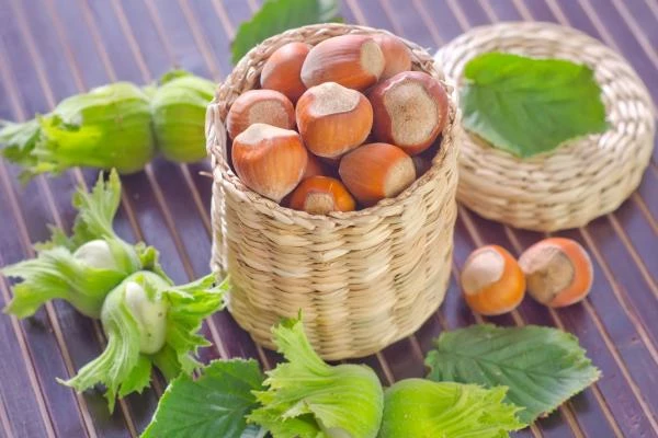 Which Countries Consume the Most Hazelnuts?