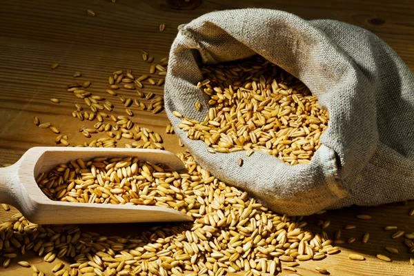 Dramatic $11M Reduction in China's June 2023 Oat Import