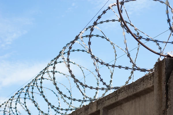 Import of Barbed Wire Hits a Low of $158K in December 2023 in the UK
